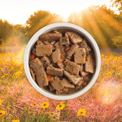 ACANA Premium Chunks Beef Recipe Wet Dog Food