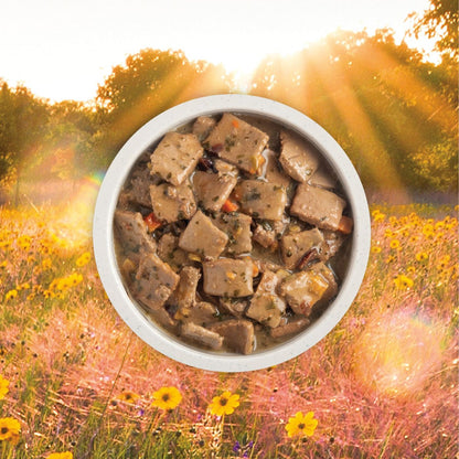 ACANA Premium Chunks Duck Recipe Wet Dog Food