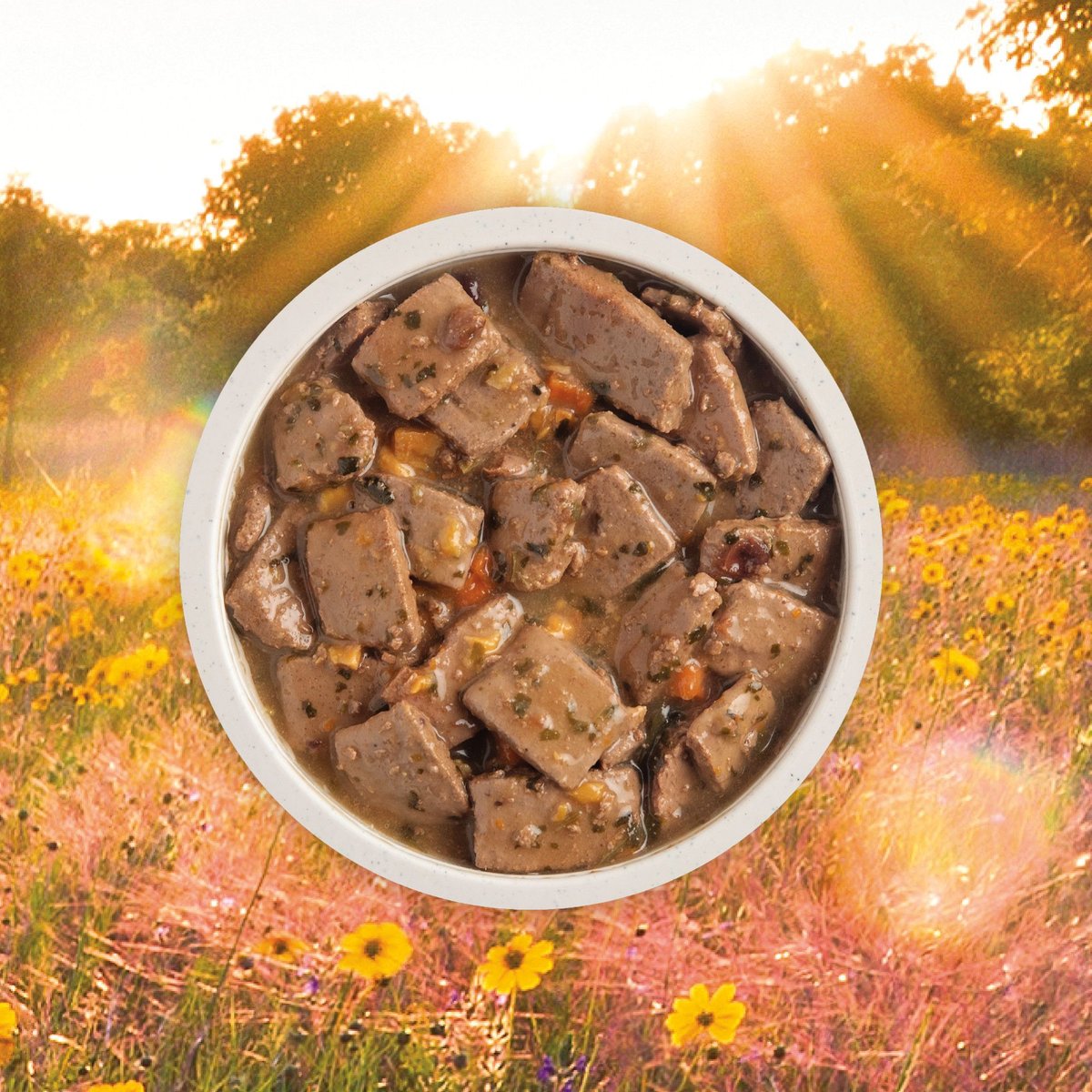 ACANA Premium Chunks Pork Recipe Wet Dog Food