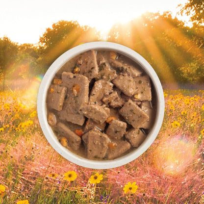 ACANA Premium Chunks Poultry Recipe Wet Dog Food