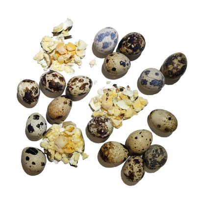 Savage Cat Freeze-Dried Quail Egg Topper