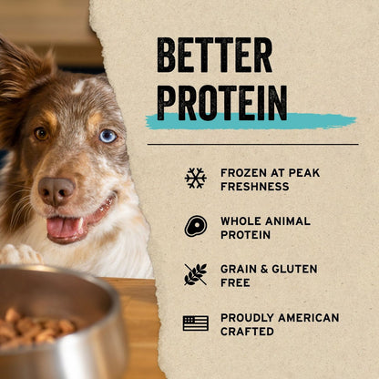 Vital Essentials Salmon Bites Freeze-Dried Raw Dog Treats