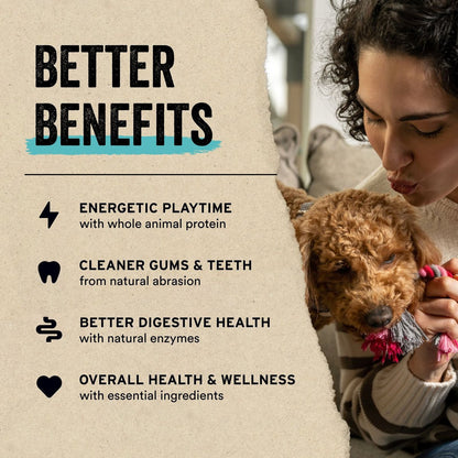 Vital Essentials Salmon Bites Freeze-Dried Raw Dog Treats