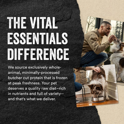 Vital Essentials Salmon Bites Freeze-Dried Raw Dog Treats