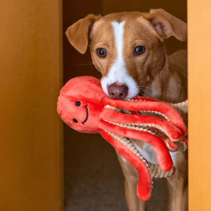 Fluff & Tuff "Squirt" - Octopus Plush Dog Toy