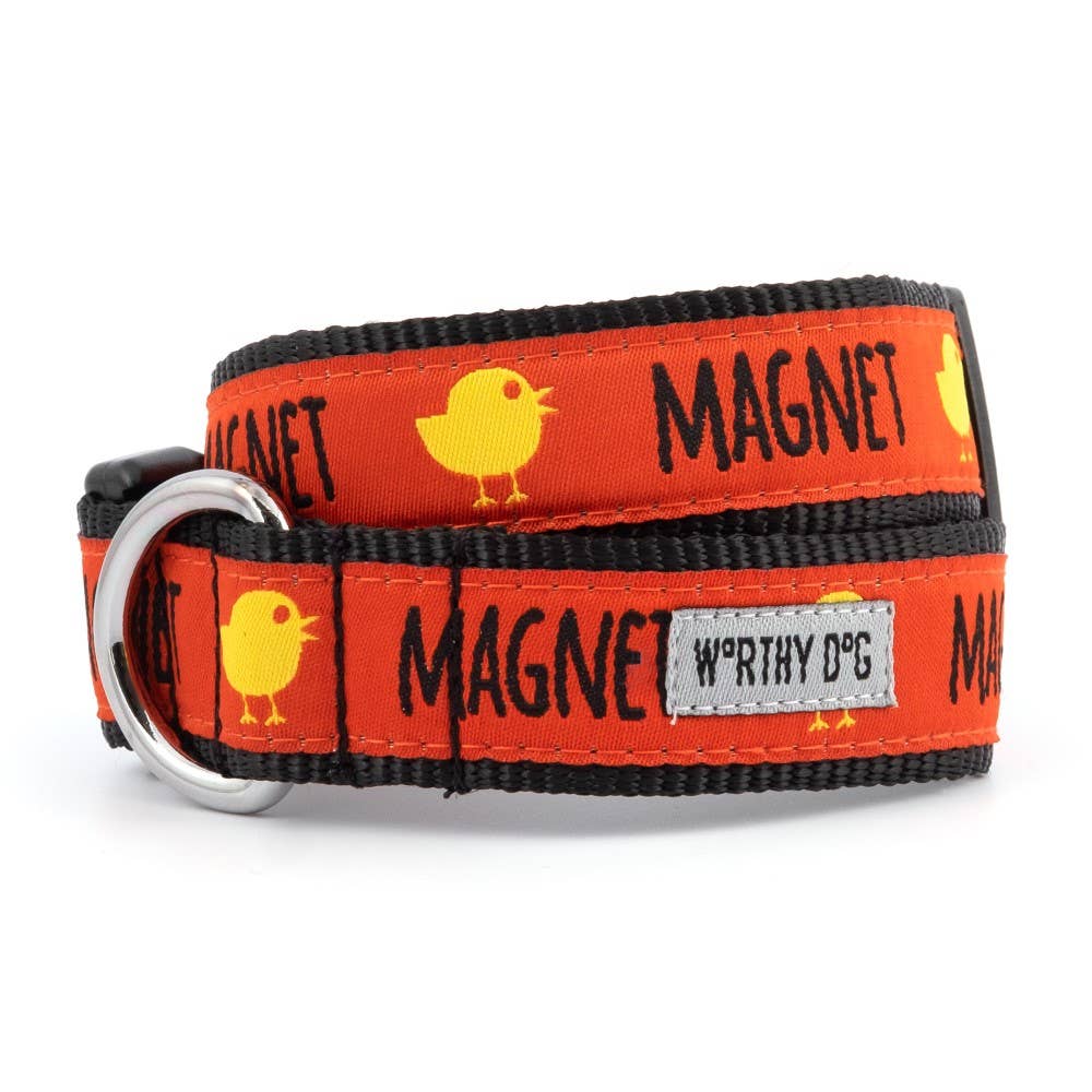 Worthy Dog - Chick Magnet Collar