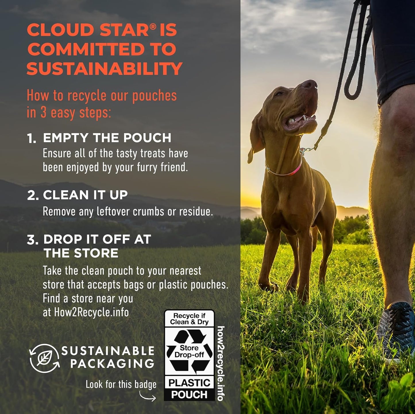 Cloud Star Dog Wag More Bark Less Meatball Bites