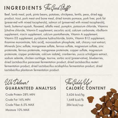 Fromm Four-Star Grain Free Rancherosa Dry Dog Food