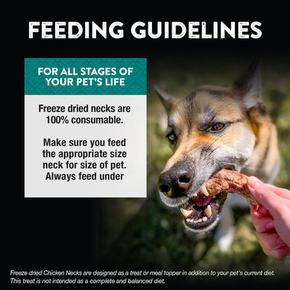 Northwest Naturals Raw Rewards Chicken Neck Freeze Dried Treats for Dogs and Cats