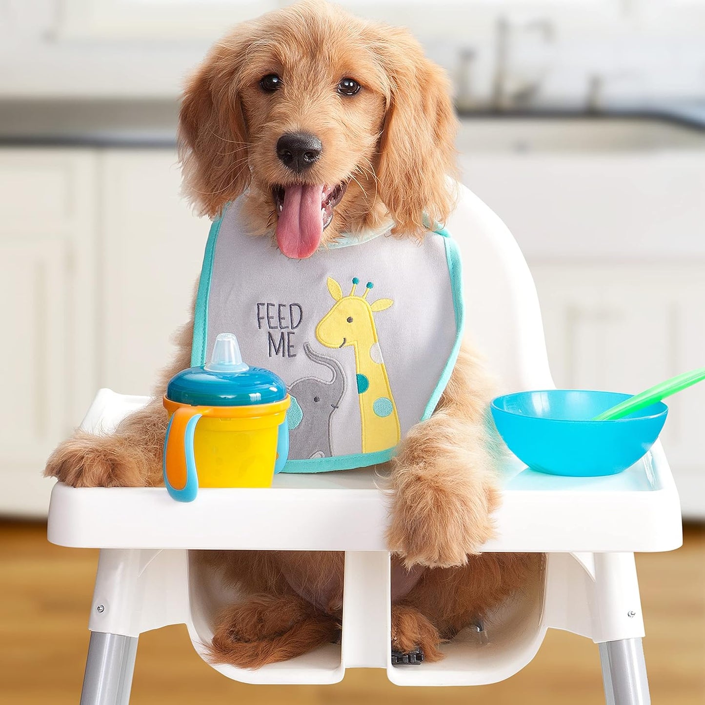 Fromm Heartland Gold Large Breed Puppy Dry Dog Food