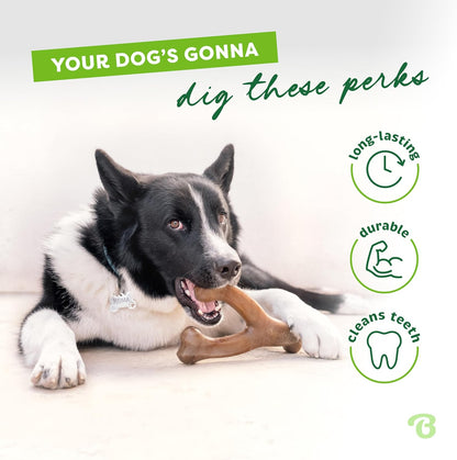 Benebone Dog Wishbone Bacon Flavor Chew Toy