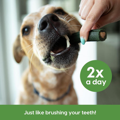 Ark Naturals Dog Brushless Toothpaste