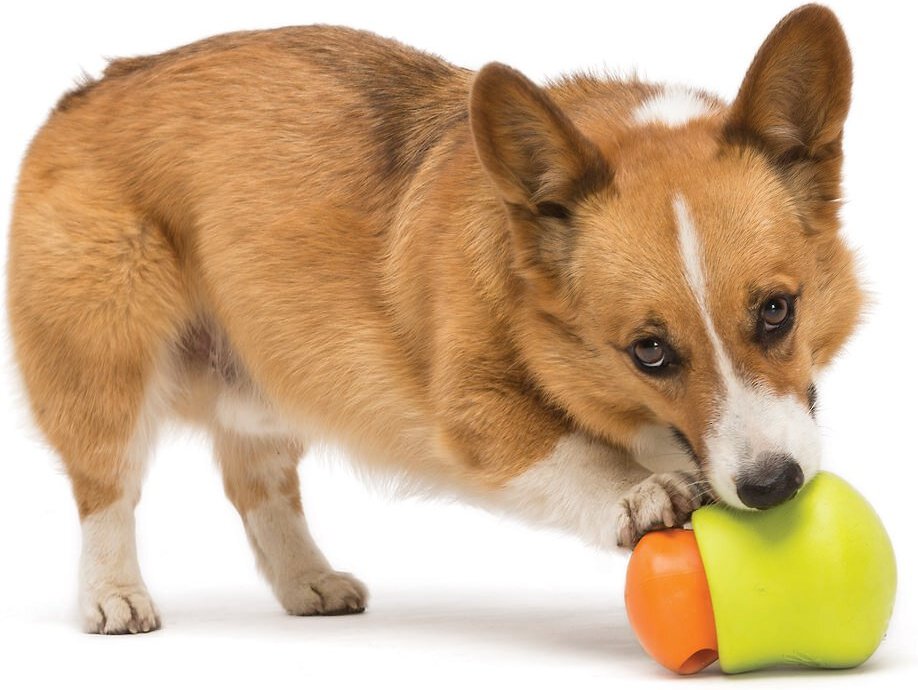 West Paw Toppl Treat Dispensing Dog Chew Toy
