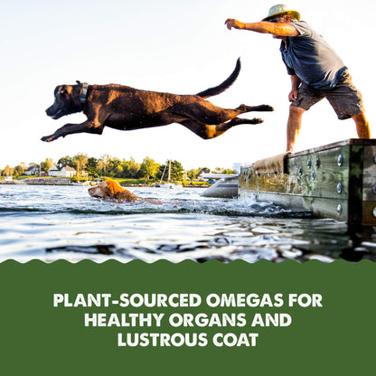 Grizzly Grizzly Algal Plus Omega Fatty Acids Supplement for Dogs and Cats