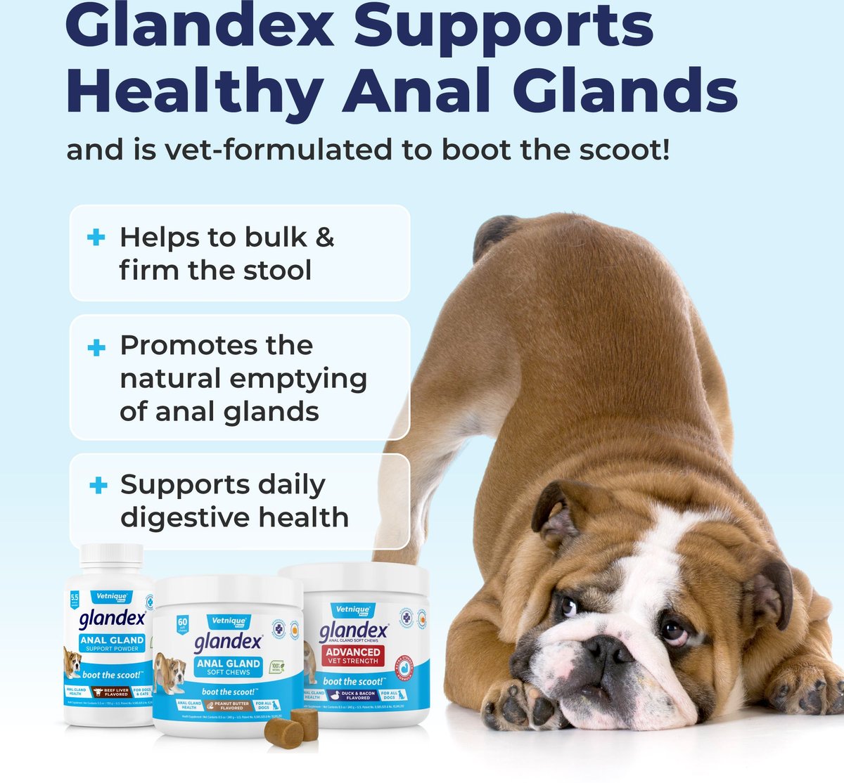 Vetnique Glandex for Dogs Anal Gland Support Peanut Butter Flavored Pumpkin Fiber Soft Chew Supplement for Dogs