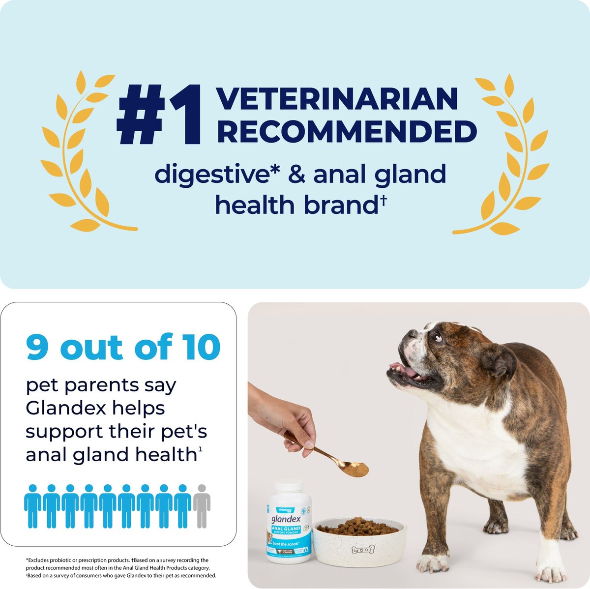 Vetnique Glandex Beef Liver Flavored Pumpkin Fiber Powder Supplement for Dogs and Cats