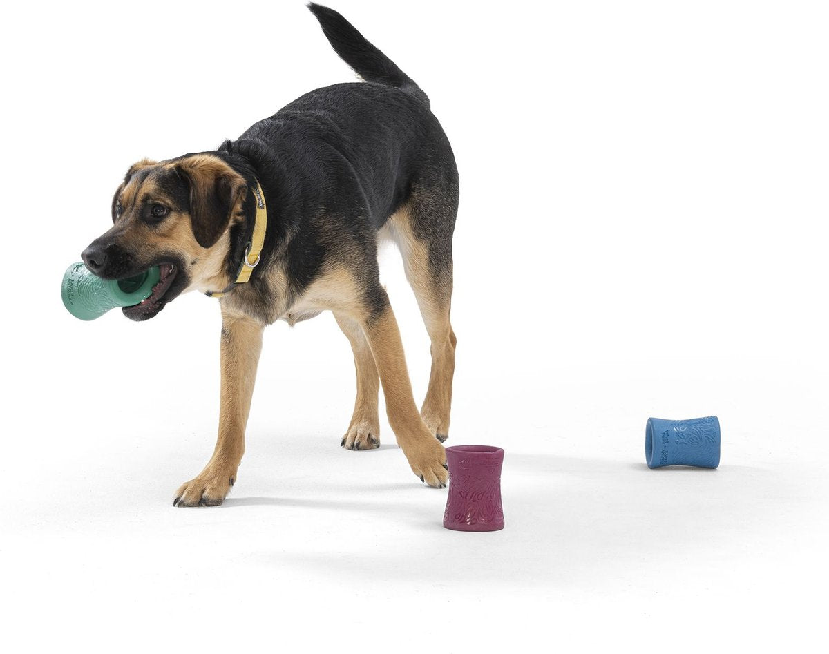 West Paw Funnl Dog Toy