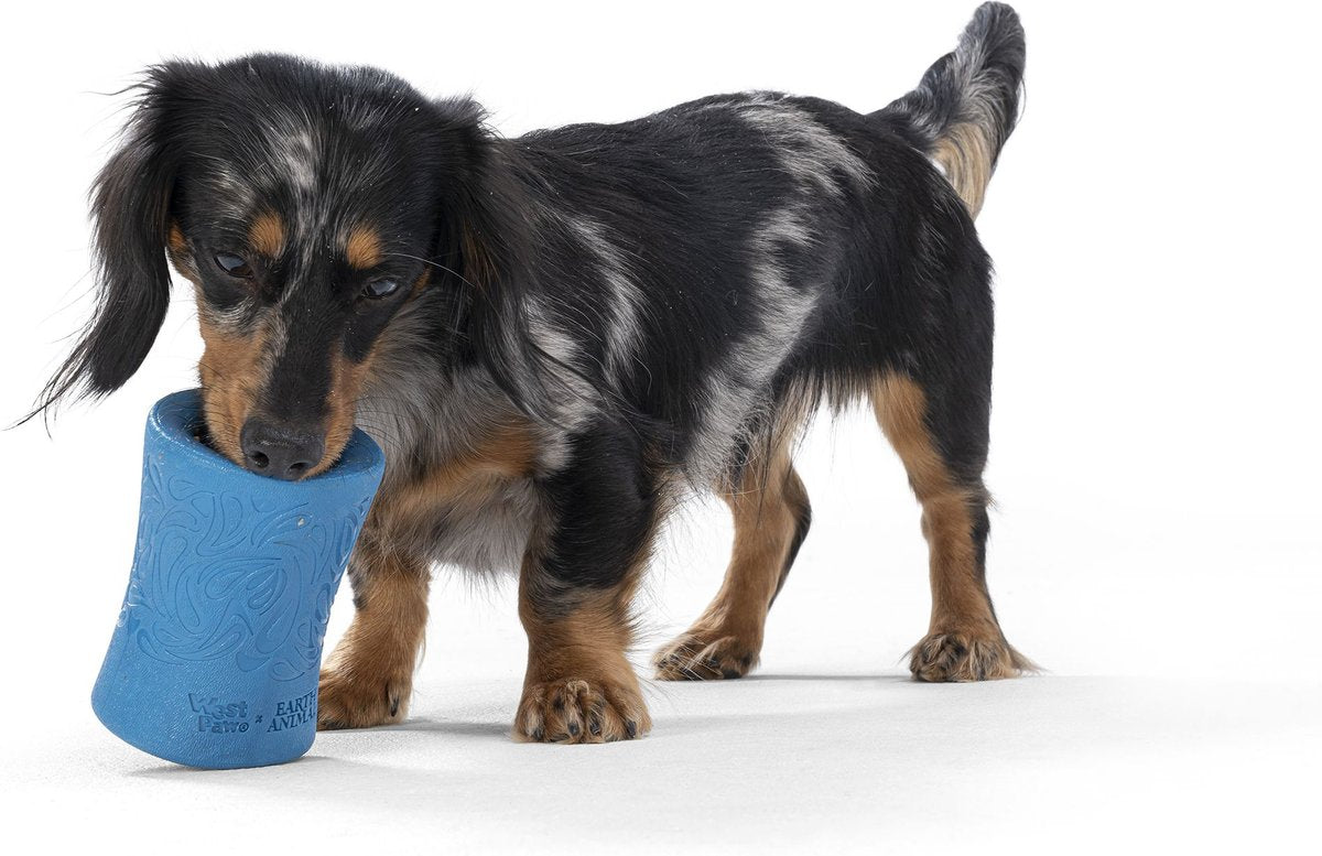 West Paw Funnl Dog Toy