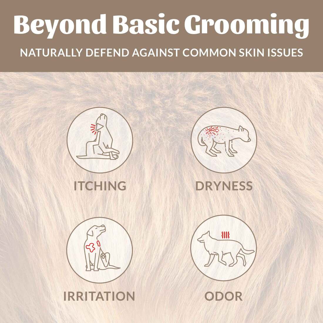 Skout’s Honor Probiotic Shampoo+Conditioner Dog of the Woods, 16-fl oz bottle