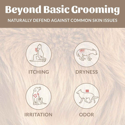 Skout’s Honor Probiotic Shampoo+Conditioner Dog of the Woods, 16-fl oz bottle