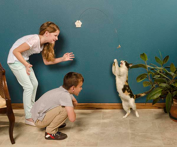 Cat Dancer Deluxe Cat Toy