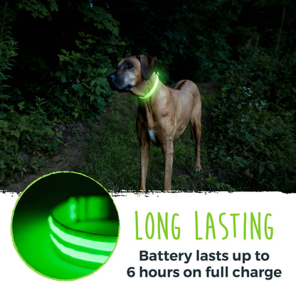 Mighty Paw LED Dog Collar