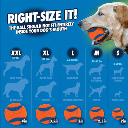 Chuckit! Dog Classic Launcher Toy