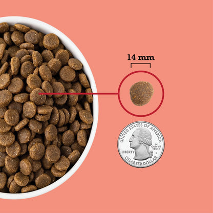 ACANA Grain Free Red Meat Dry Dog Food