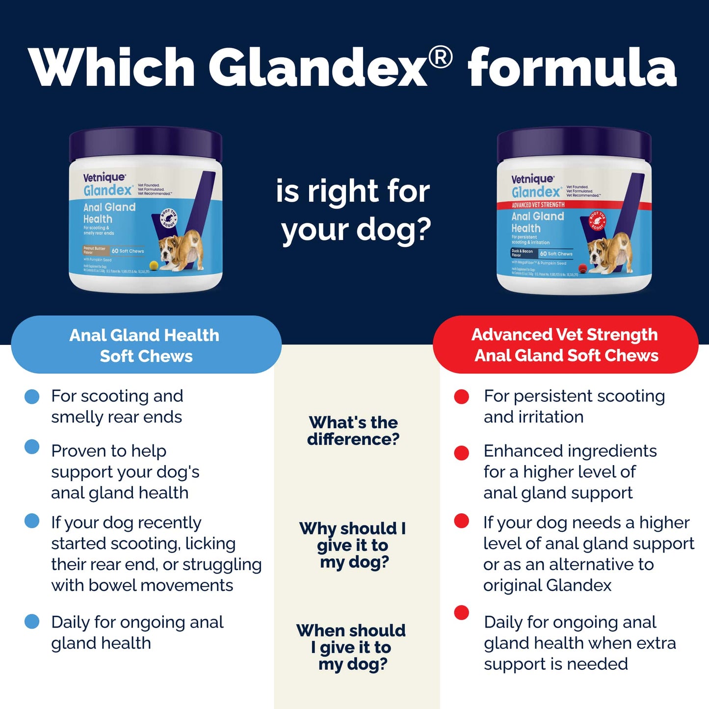 Glandex Anal Gland Support Soft Chews Peanut Butter 30ct