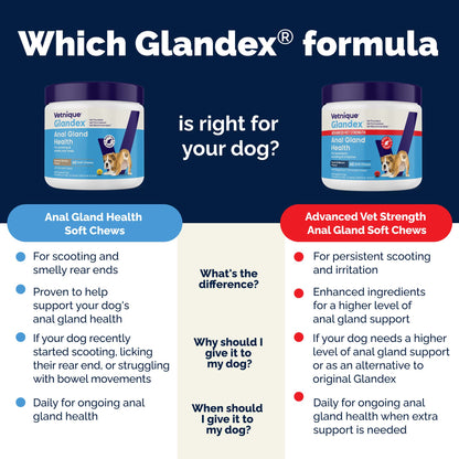 Glandex Anal Gland Support Soft Chews Peanut Butter 30ct