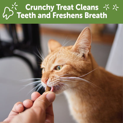 WHIMZEES by Wellness Natural Chicken & Salmon Dental Cat Treats