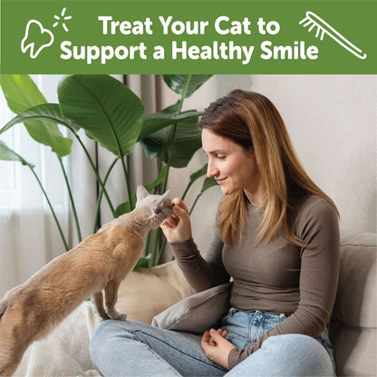 WHIMZEES by Wellness Natural Chicken & Salmon Dental Cat Treats
