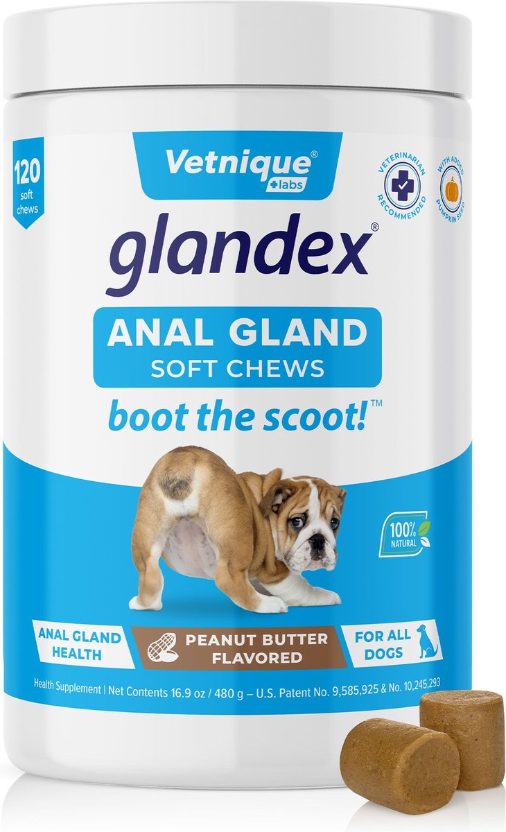 Vetnique Glandex for Dogs Anal Gland Support Peanut Butter Flavored Pumpkin Fiber Soft Chew Supplement for Dogs