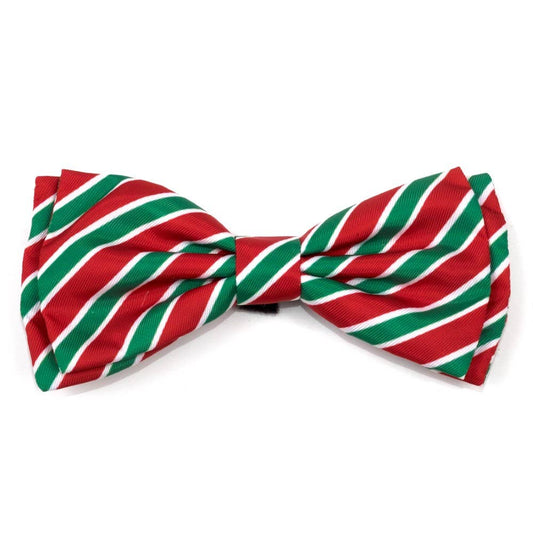 Worthy Dog - Holiday Stripe Bow Tie
