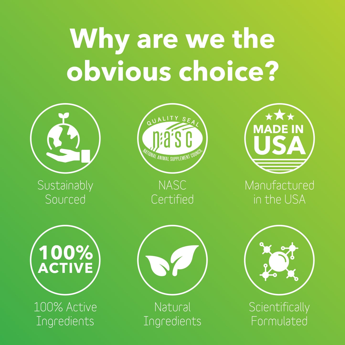 InClover Allergy Supplement for Dogs and Cats