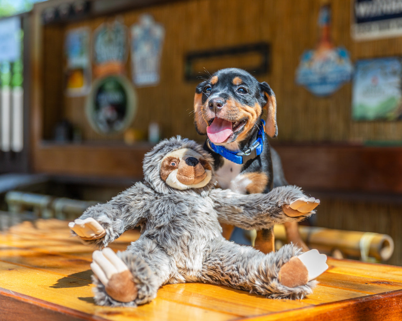 Fluff & Tuff "Sonny" - Sloth Plush Dog Toy