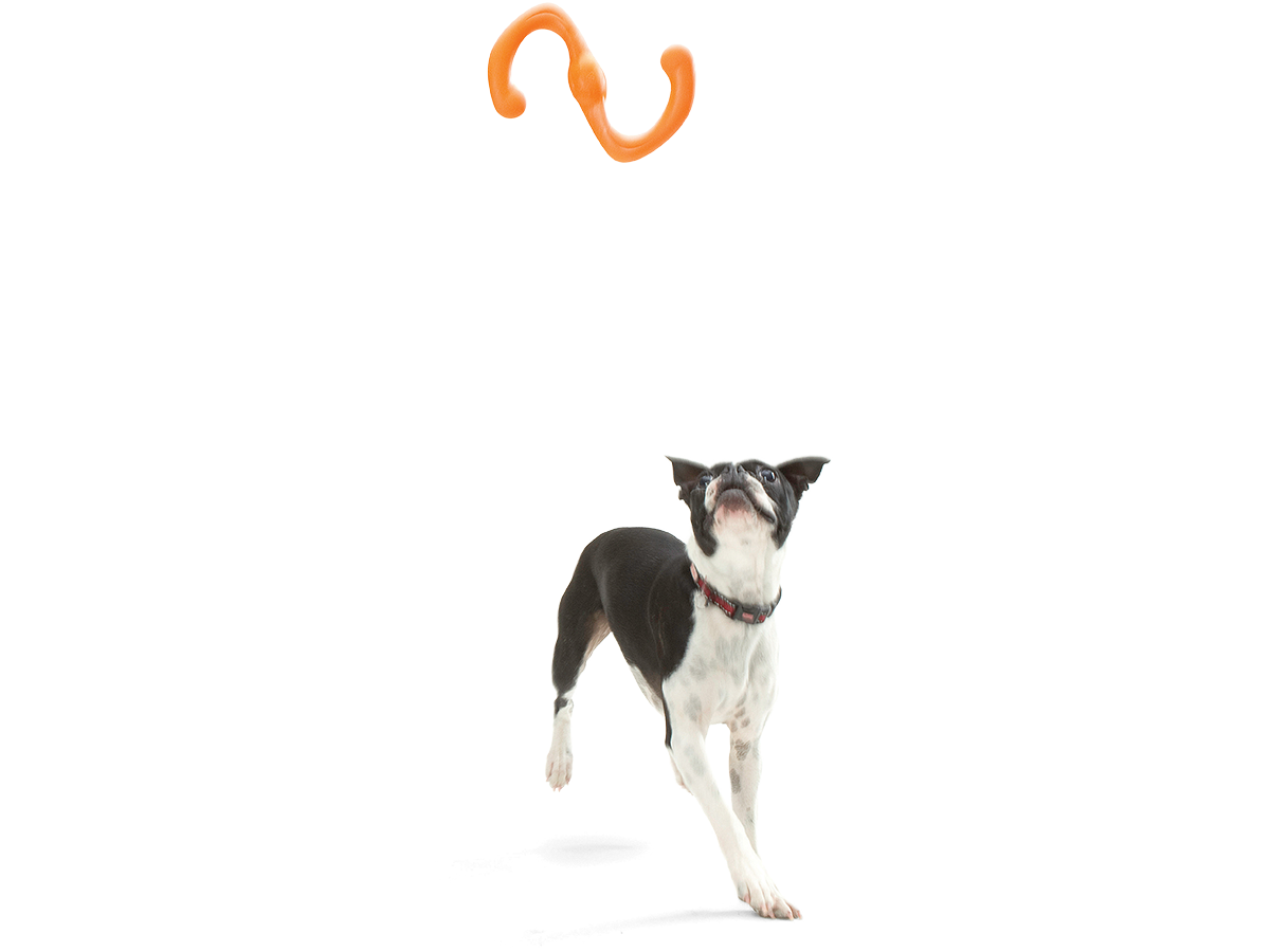 West Paw Bumi Dog Tug Toy for Gentle Chewers