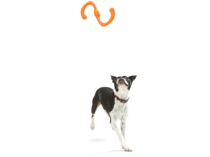 West Paw Bumi Dog Tug Toy for Gentle Chewers