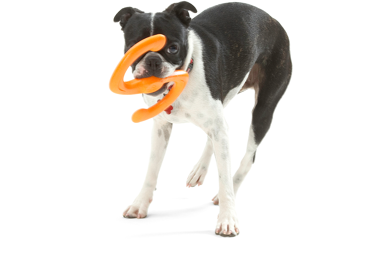 West Paw Bumi Dog Tug Toy for Gentle Chewers