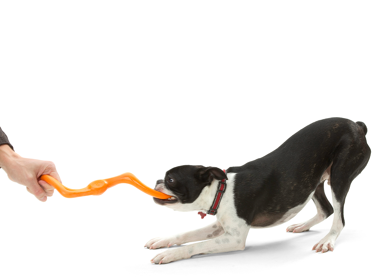 West Paw Bumi Dog Tug Toy for Gentle Chewers