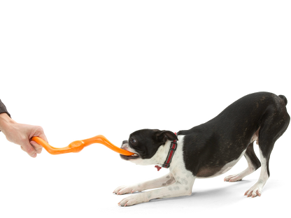 West Paw Bumi Dog Tug Toy for Gentle Chewers