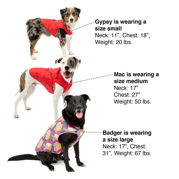Kurgo Loft Jacket Dog Coat