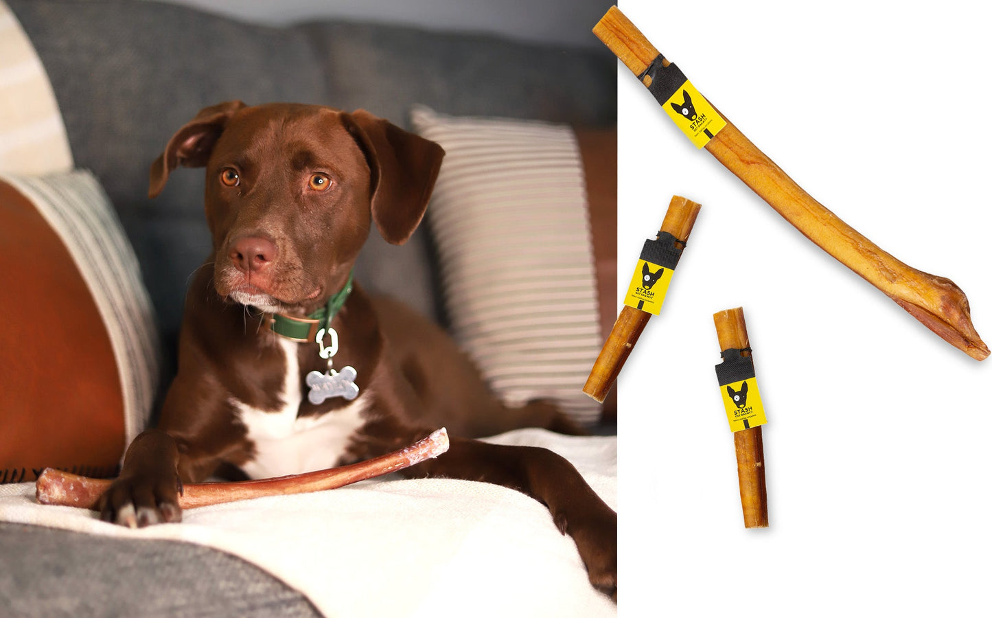Diggin Your Dog Jumbo Bully Stick Dog Treat