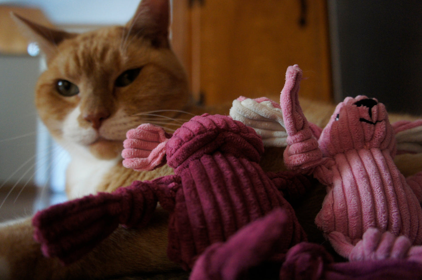 HuggleKats Woodland Cat Toys