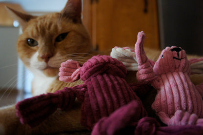 HuggleKats Woodland Cat Toys