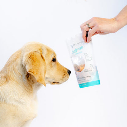 Green Juju Salmon Trainers Freeze-Dried Single-Ingredient Treats for Dogs and Cats