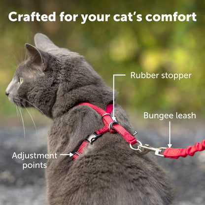 PetSafe Come With Me Kitty Harness and Bungee Cat Leash, Blue