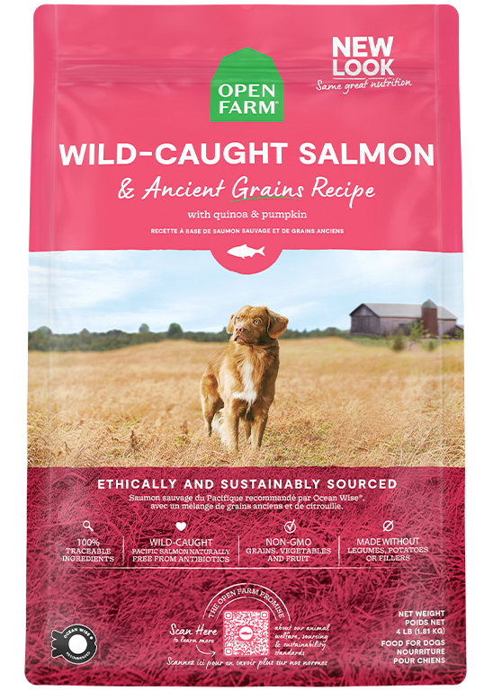 Open Farm Ancient Grains Wild-Caught Salmon Dry Dog Food