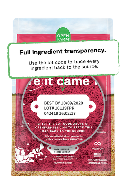 Open Farm Ancient Grains Wild-Caught Salmon Dry Dog Food