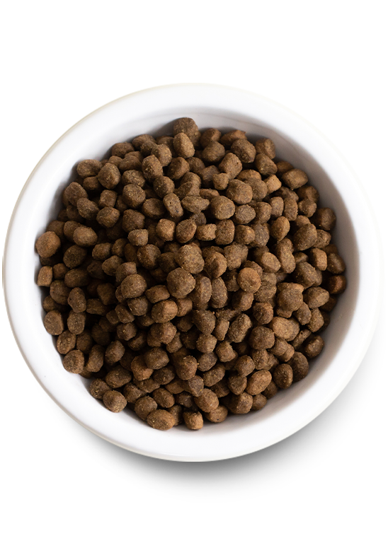 Open Farm Grain Free Puppy with Chicken and Salmon Dry Dog Food